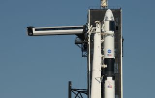 SpaceX's Demo-2 Crew Dragon, the first to carry astronauts, stands atop its Falcon 9 rocket at Launch Pad 39A of NASA's Kennedy Space Center as the crew access arm swings into position for launch.