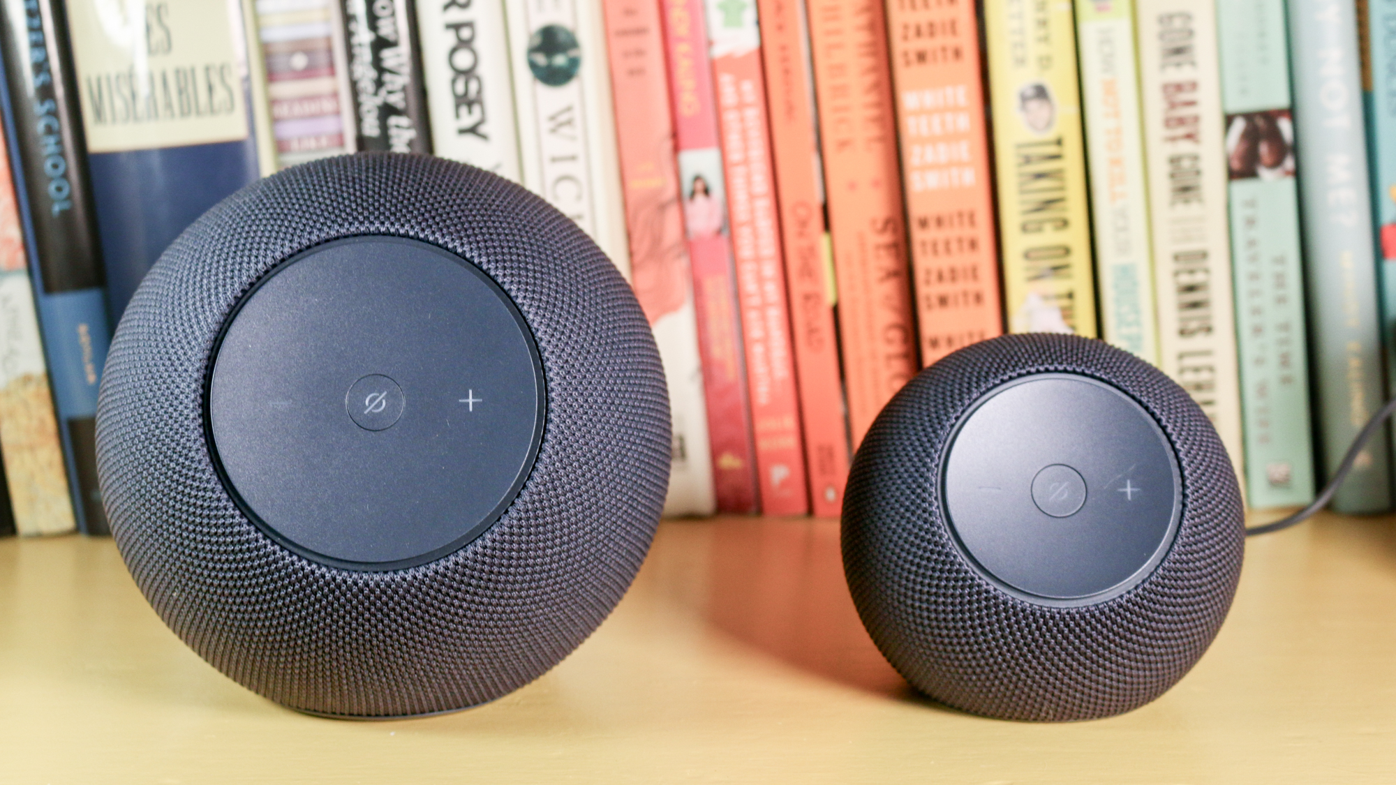Echo Dot Studio and Echo Dot Max side by side on a book shelf