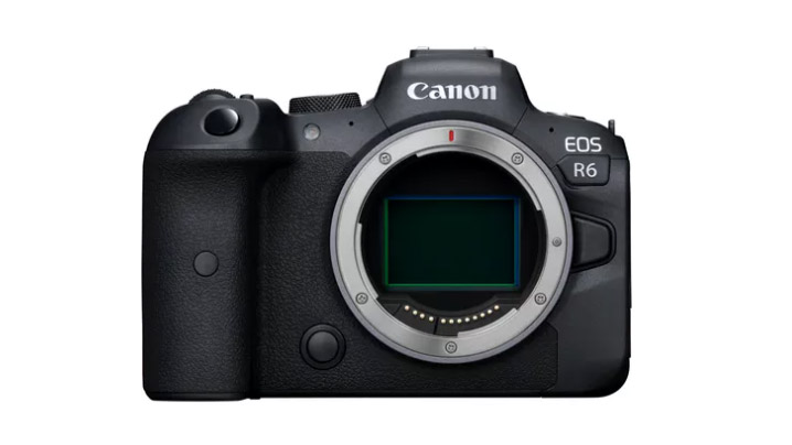 Best low-light cameras: Canon EOS R6