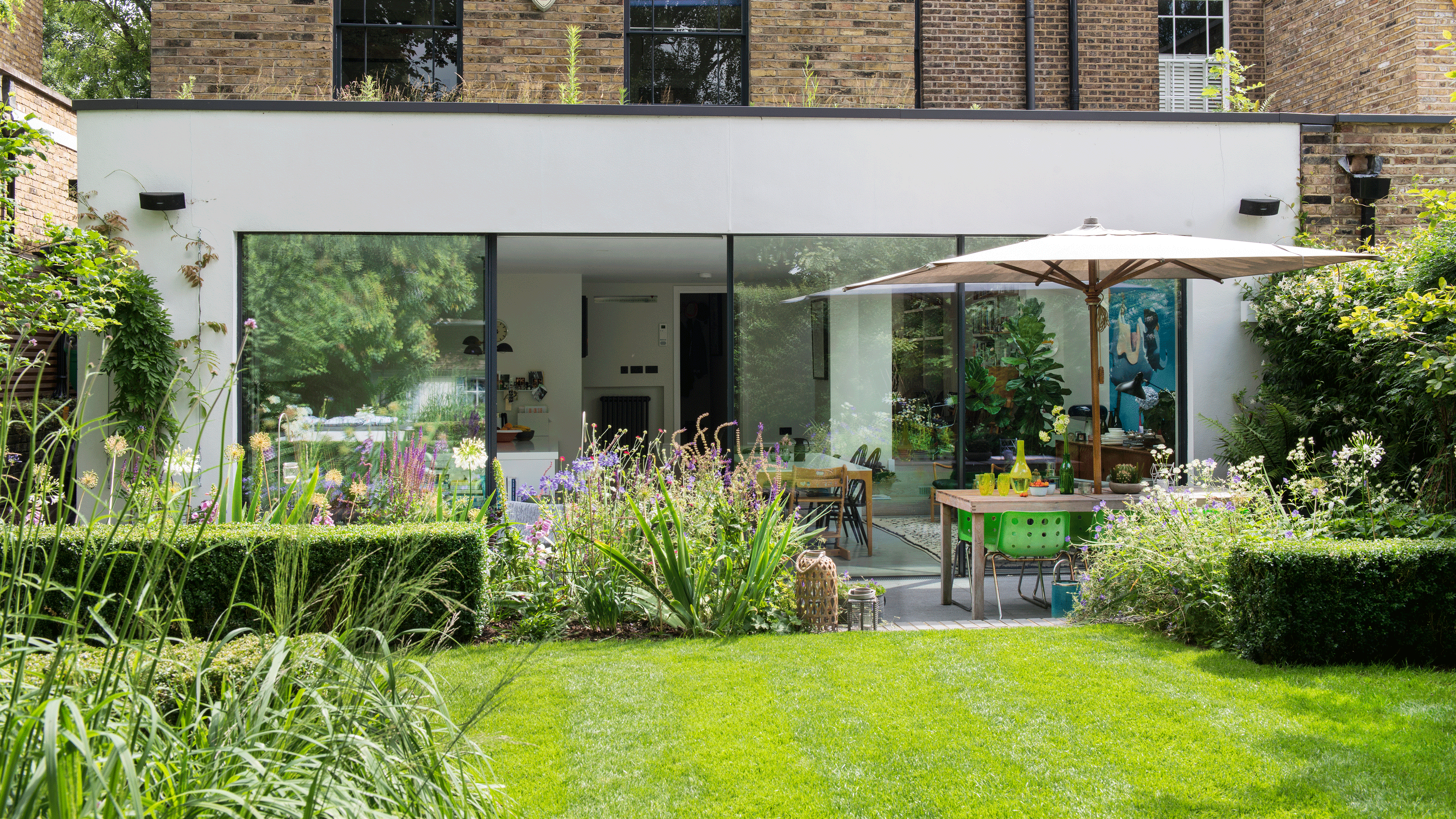 Box hedge in garden 