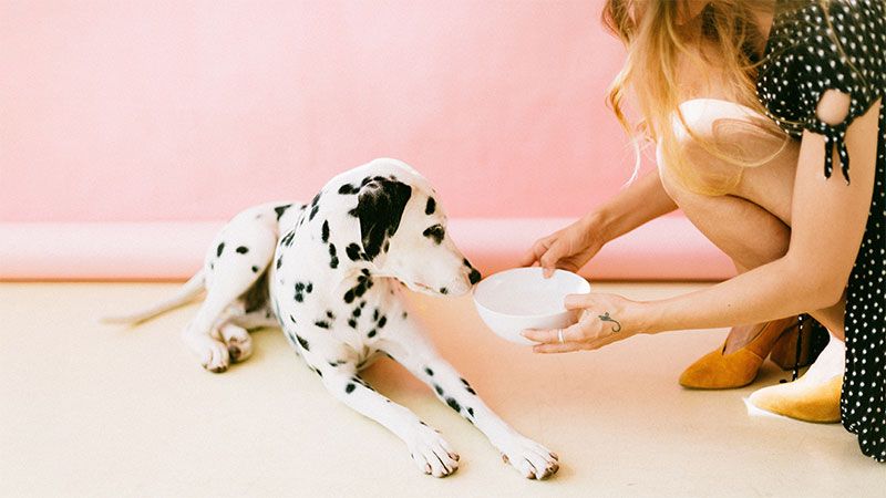 Woman feeding dog