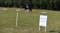 News_Tweseldown3_PN20_61202_404371061_711571212-TI-ARCHIVE.jpg