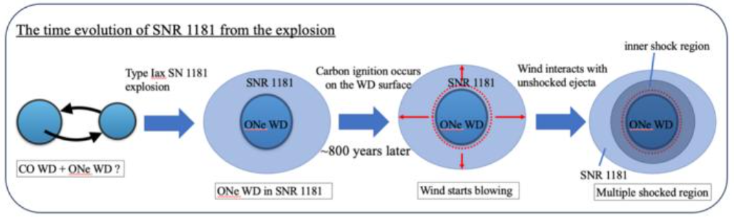 A diagram showing how the supernova remnant evolved. On the left, two white dwarfs collide. Finally, on the right, the final stage of the process.