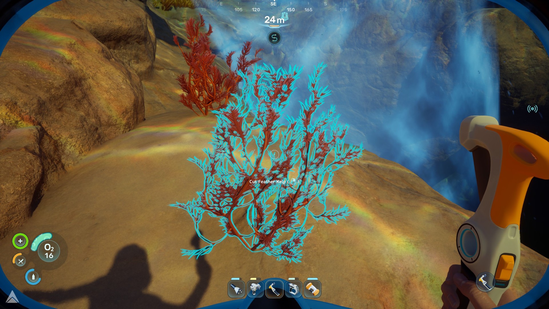 A player gets Fibrous Pulp in Subnautica 2 by cutting Feather Kelp with a survival multitool