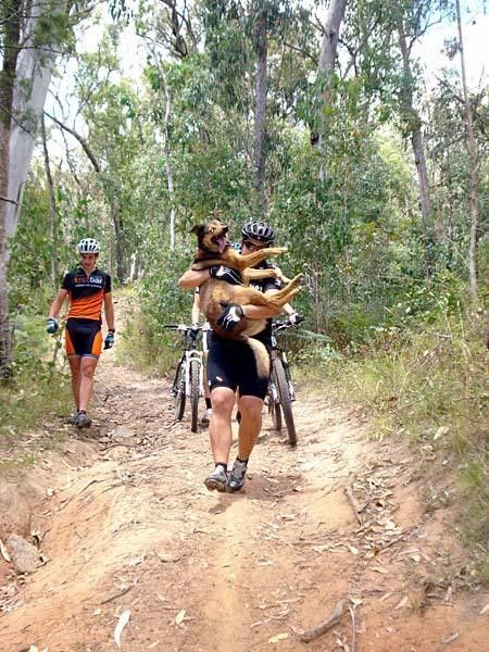 Canine Rescue mission: TORQ team mechanic DC carrying his dog Murphy,