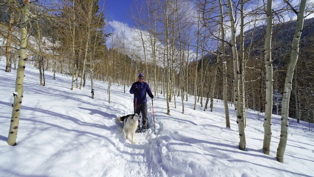 Is snowshoeing hard? Why it’s a better workout than hiking Advnture