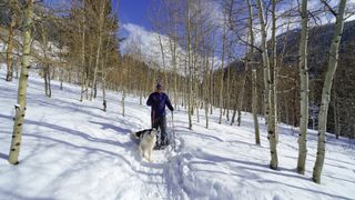 A man snowshoeing with his dog