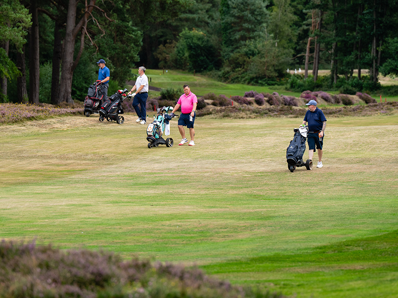 four golfers walking down the fairway with two heading in the direction of the trees