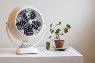 A vintage cooling fan beside a plant
