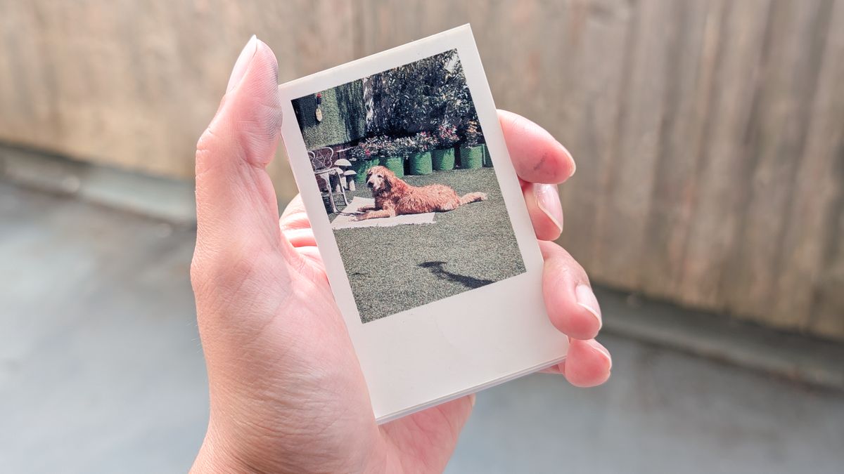 Prints created using the Inkwon Tag portable printer