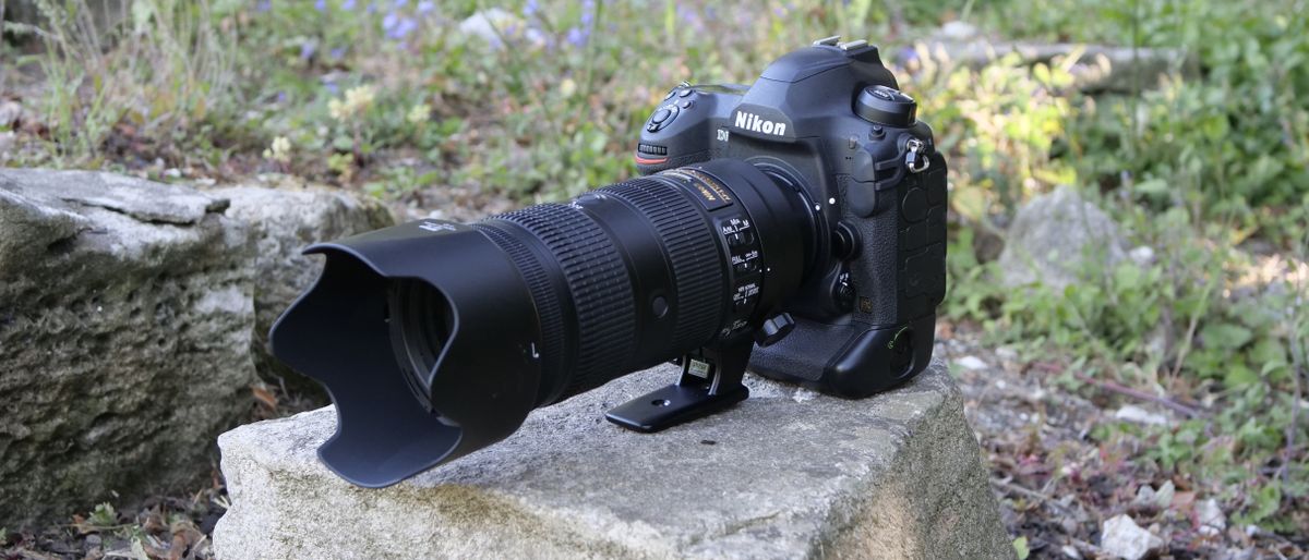 Nikon D6