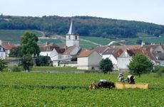 Vosne-Roman&eacute;e 2023