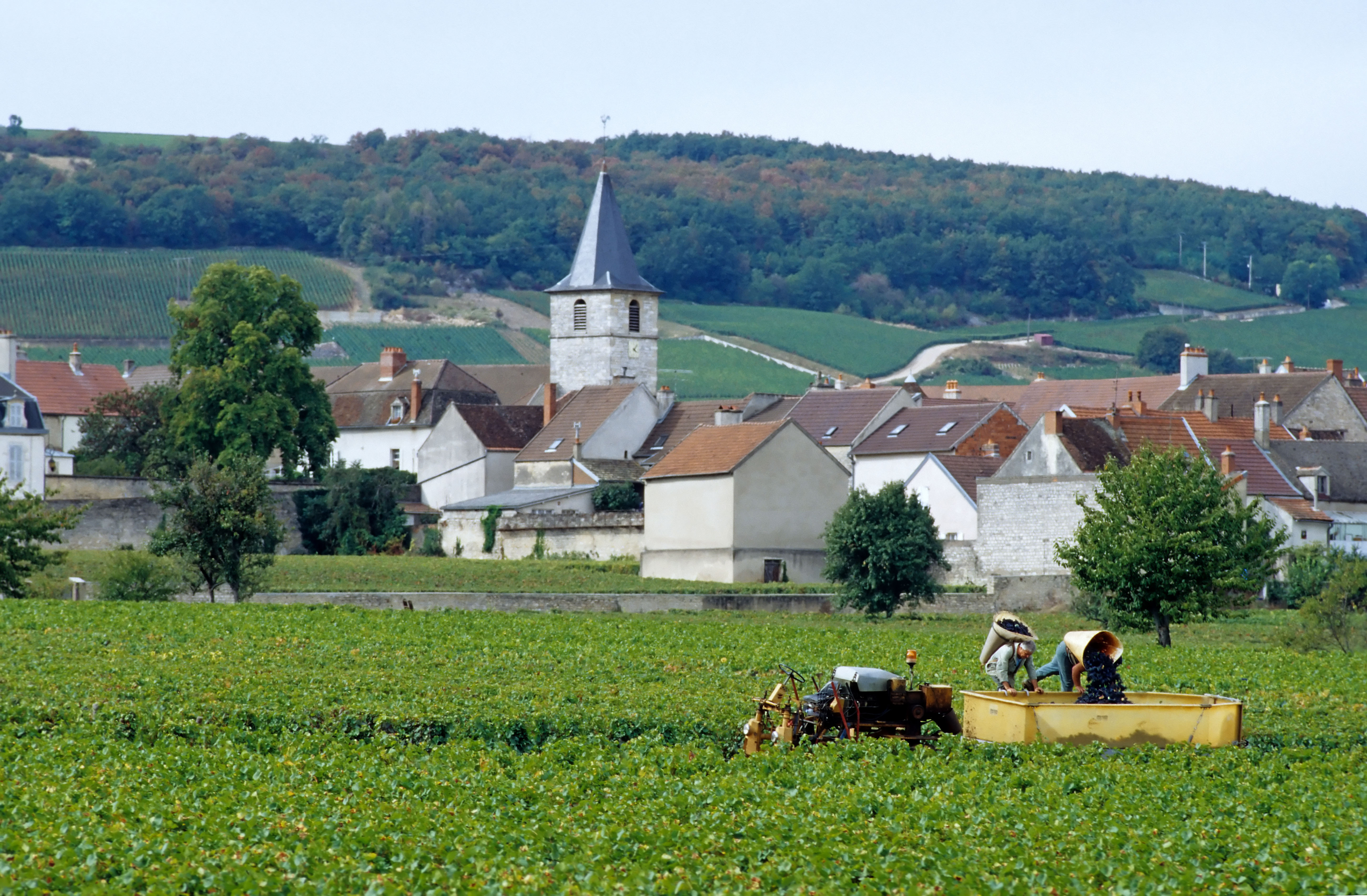 Vosne-Roman&amp;eacute;e 2023