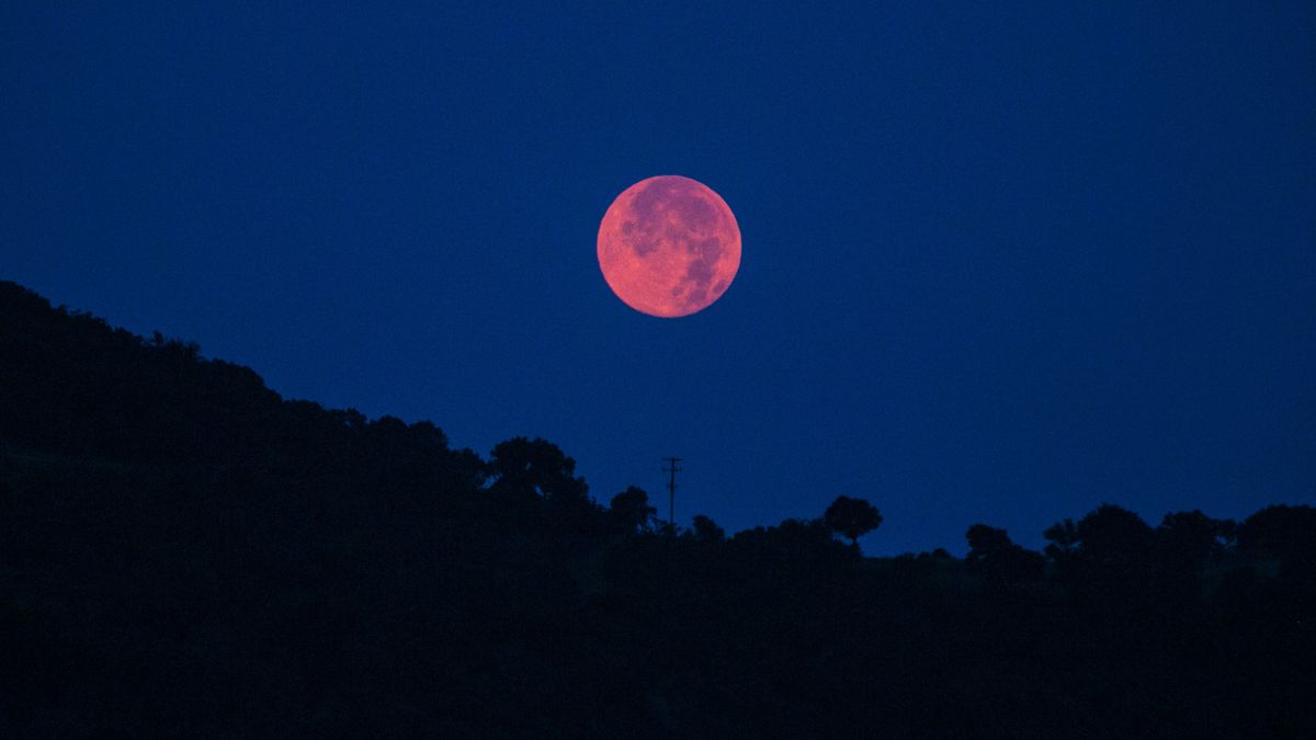 Friday S Full Buck Moon May Be An Eerie Orange Here S How To Spot It Live Science