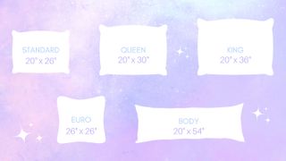 A diagram of different pillow sizes