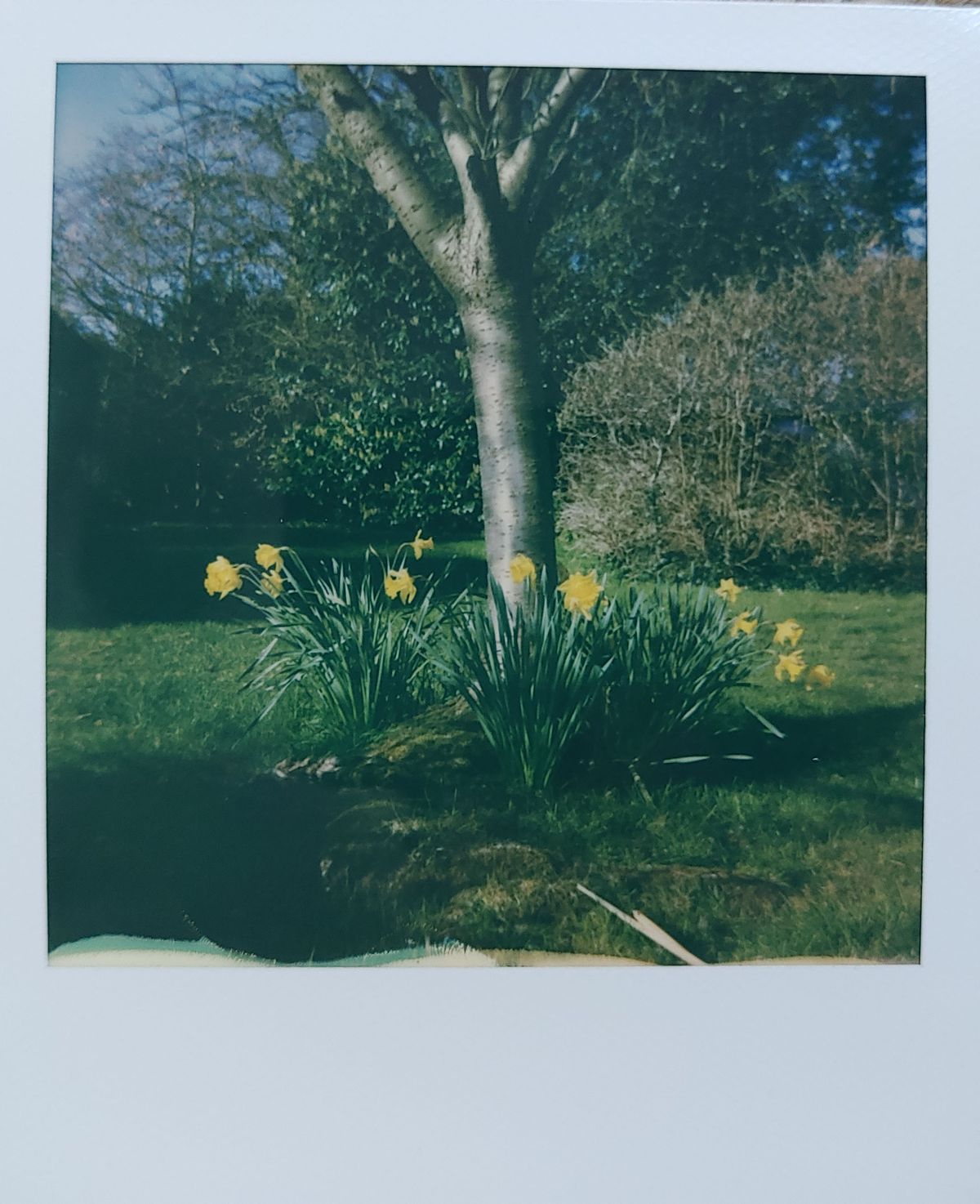 Polaroid Now