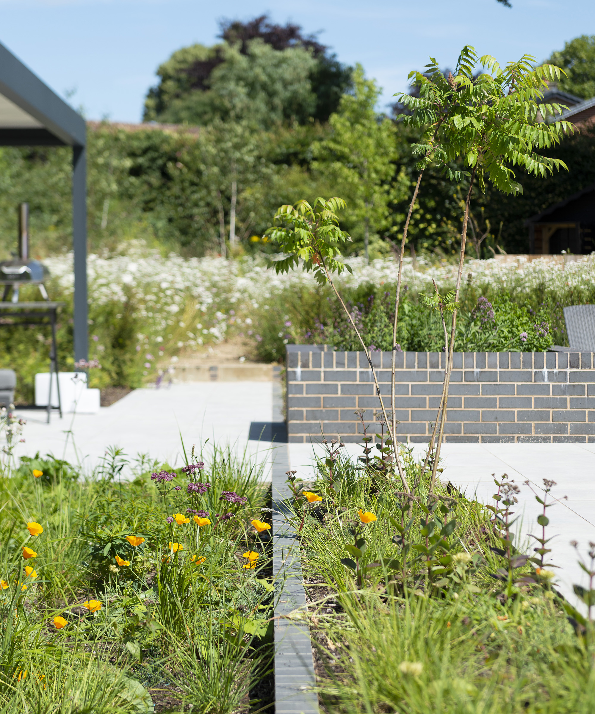 Landscaping in a newly extended and renovated home. Using grey brick to divide planting areas