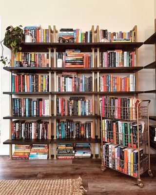 Dark bookshelf and metal cart filled with books