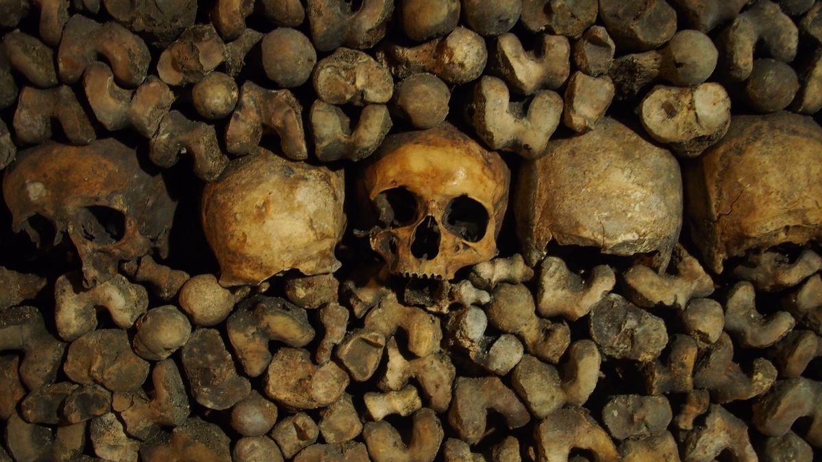 Paris Catacombs