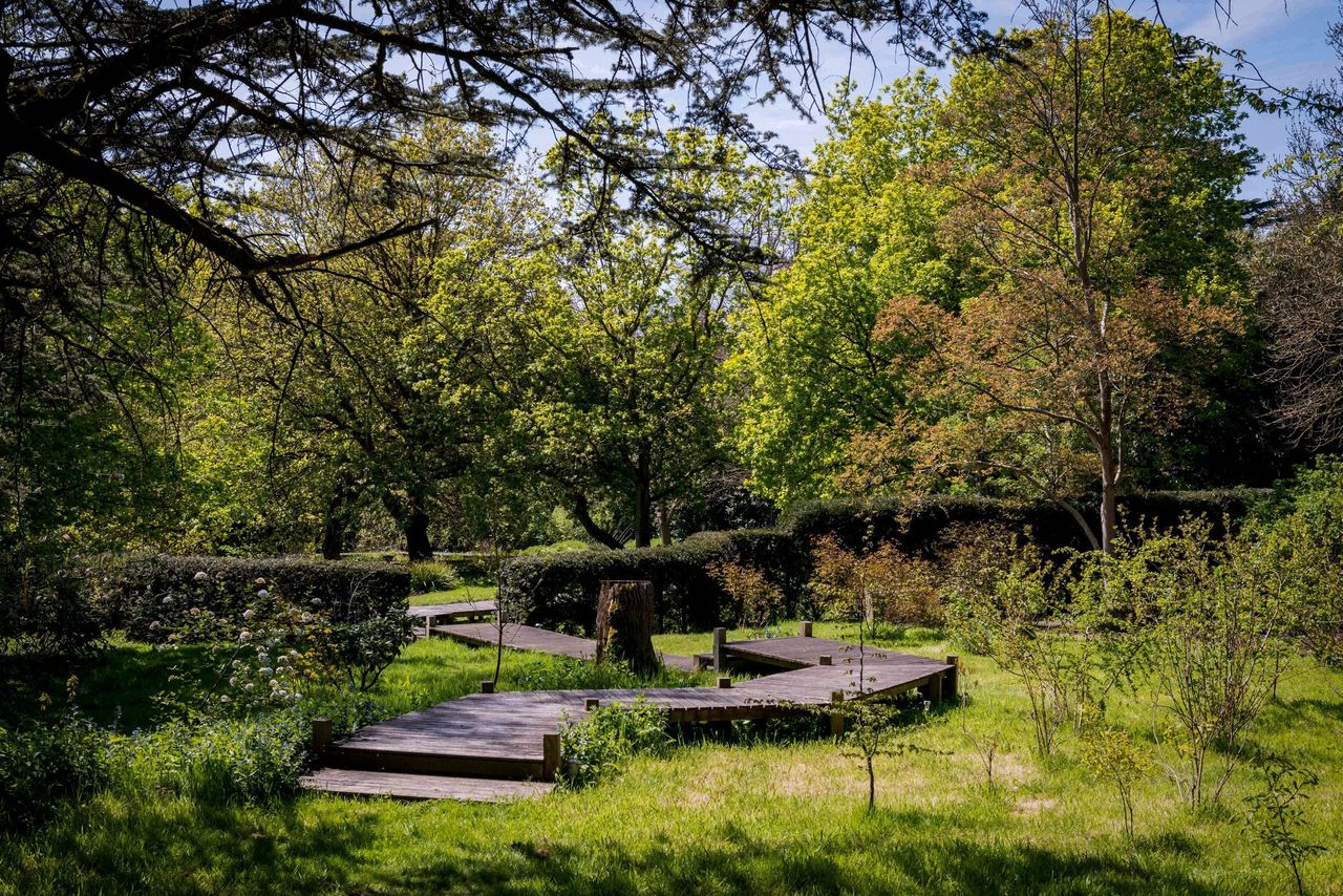 The garden boundaries show steps down to a sitting area
