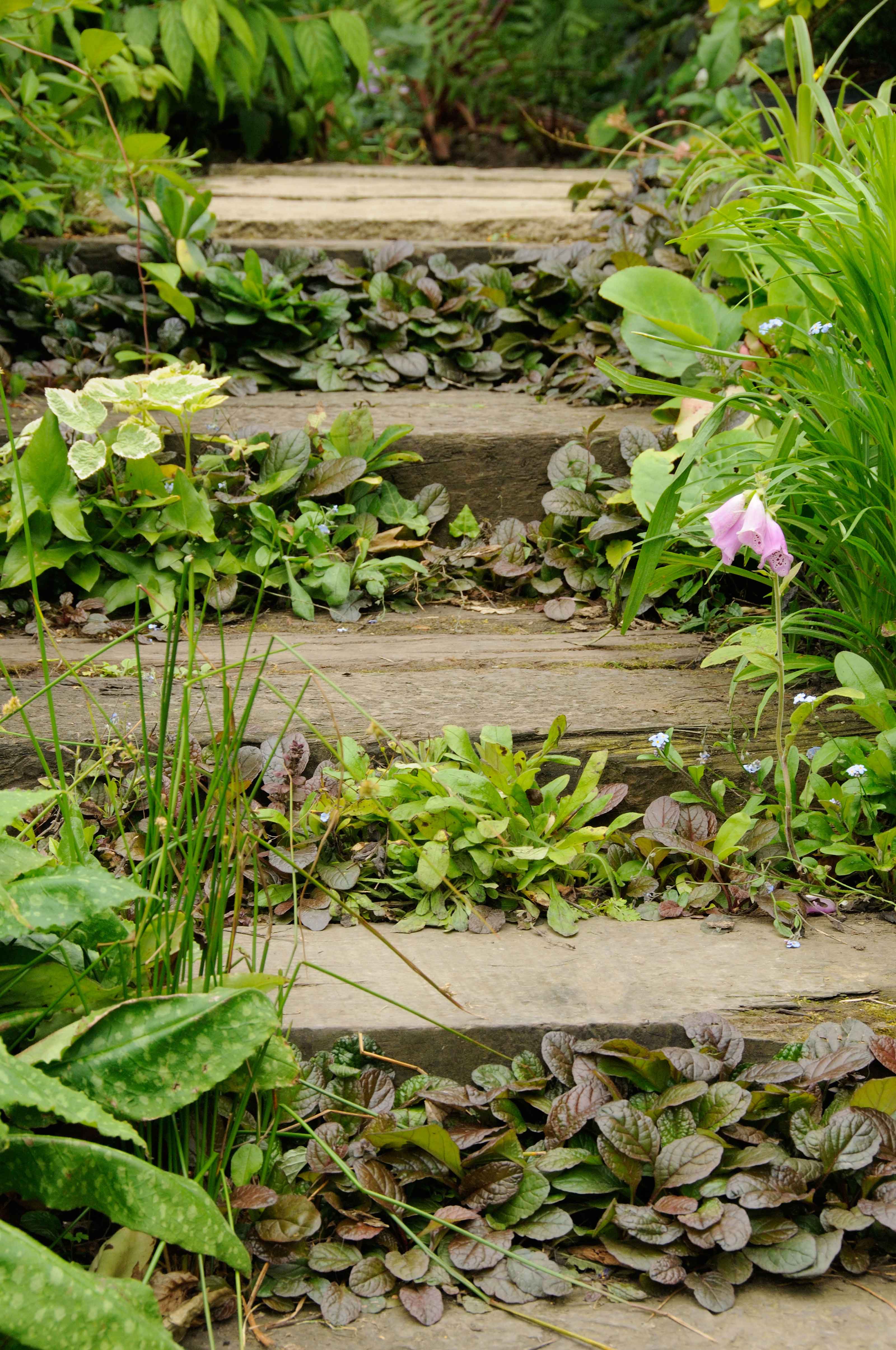 garden sleeper ideas used as steps