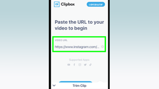 How to download Instagram Reels - a screenshot of a video url being pasted into the Clipbox app