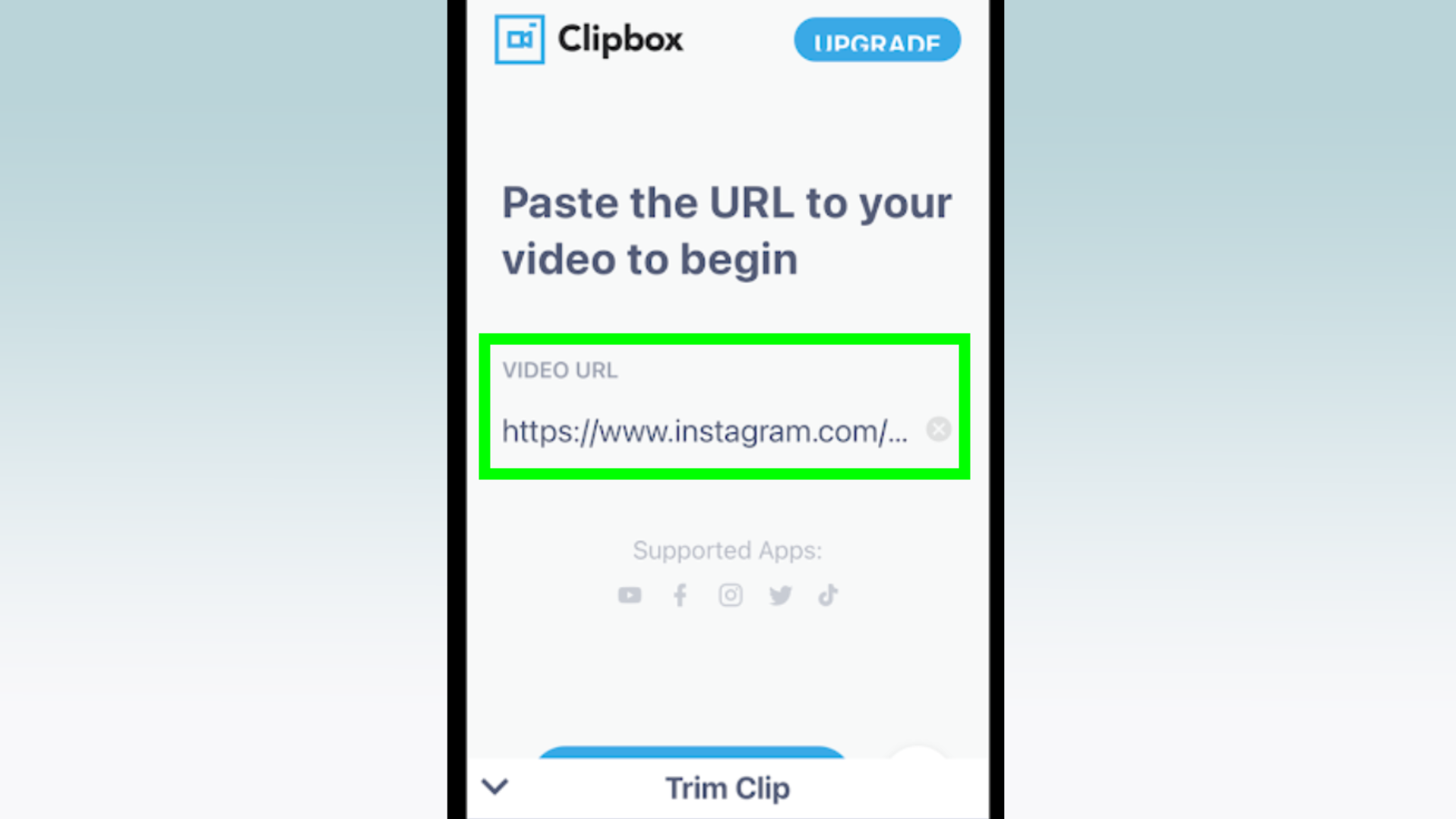 Как скачать Instagram Reels - скриншот URL-адреса видео, вставляемого в приложение Clipbox