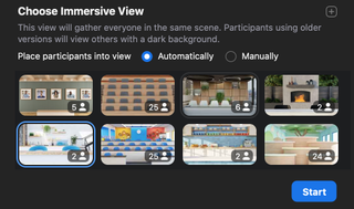 Zoom's Immersive View options