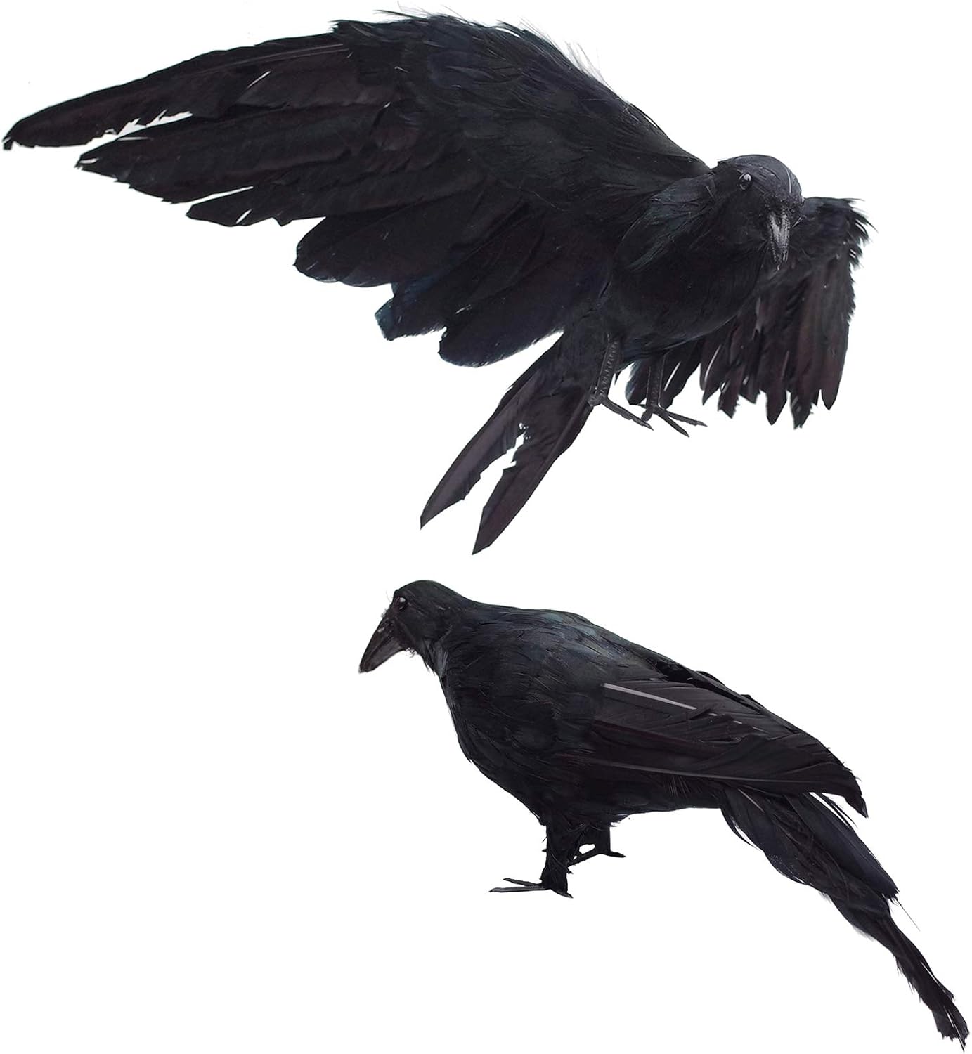 2-Pack Realistic Crows Lifesize Extra Large Handmade Black Feathered Crow for Halloween Decorations Birds, L (13 Inch+12 Inch)