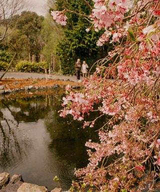 a pond with a surrounding perimeter