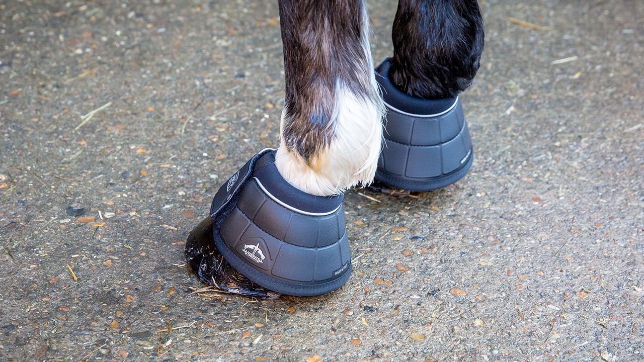 Veredus safety bell boots review