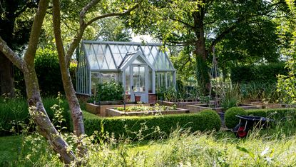 An example of greenhouse tips showing a glass greenhouse amongst shrubbery and two trees