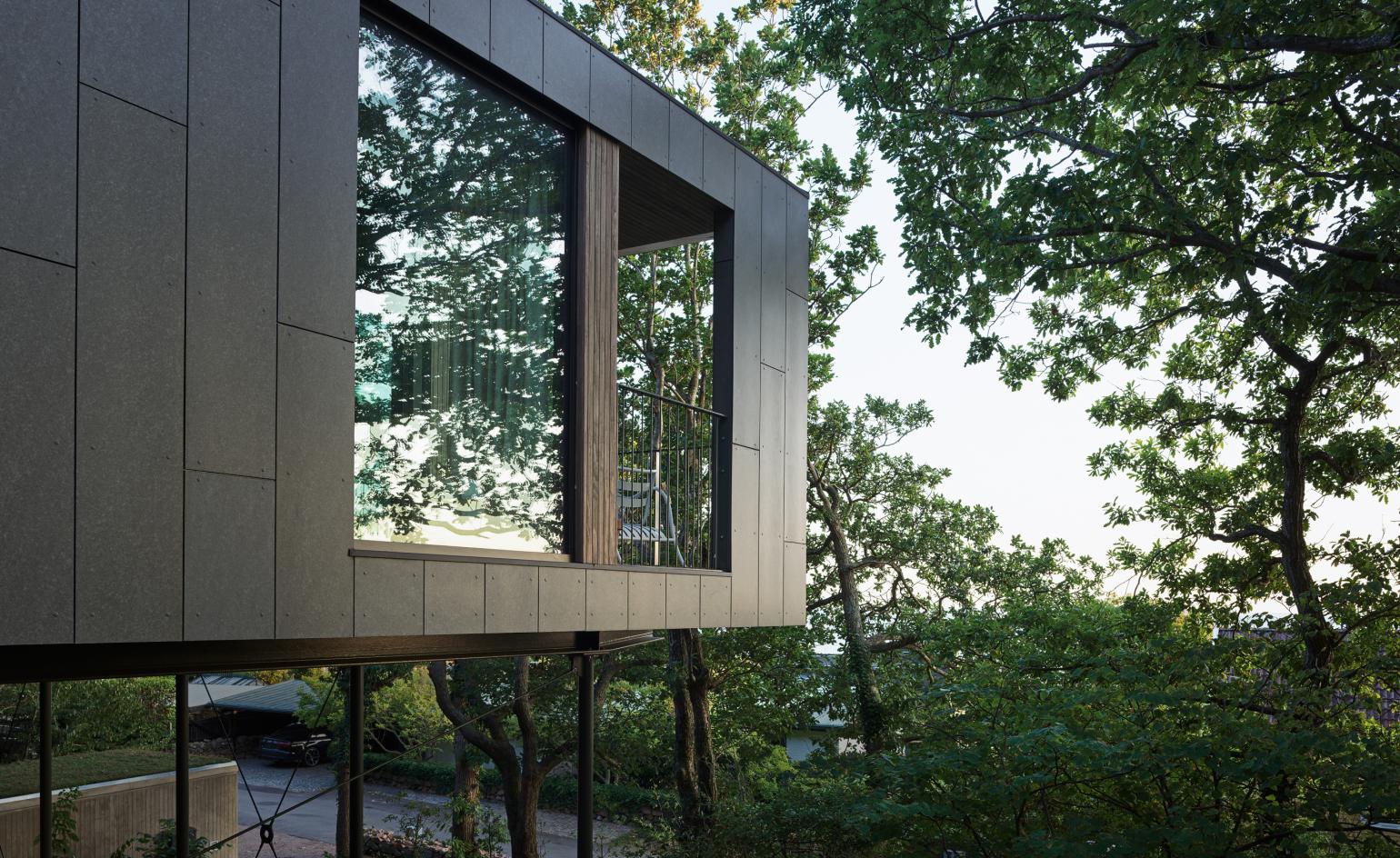 Tree house view