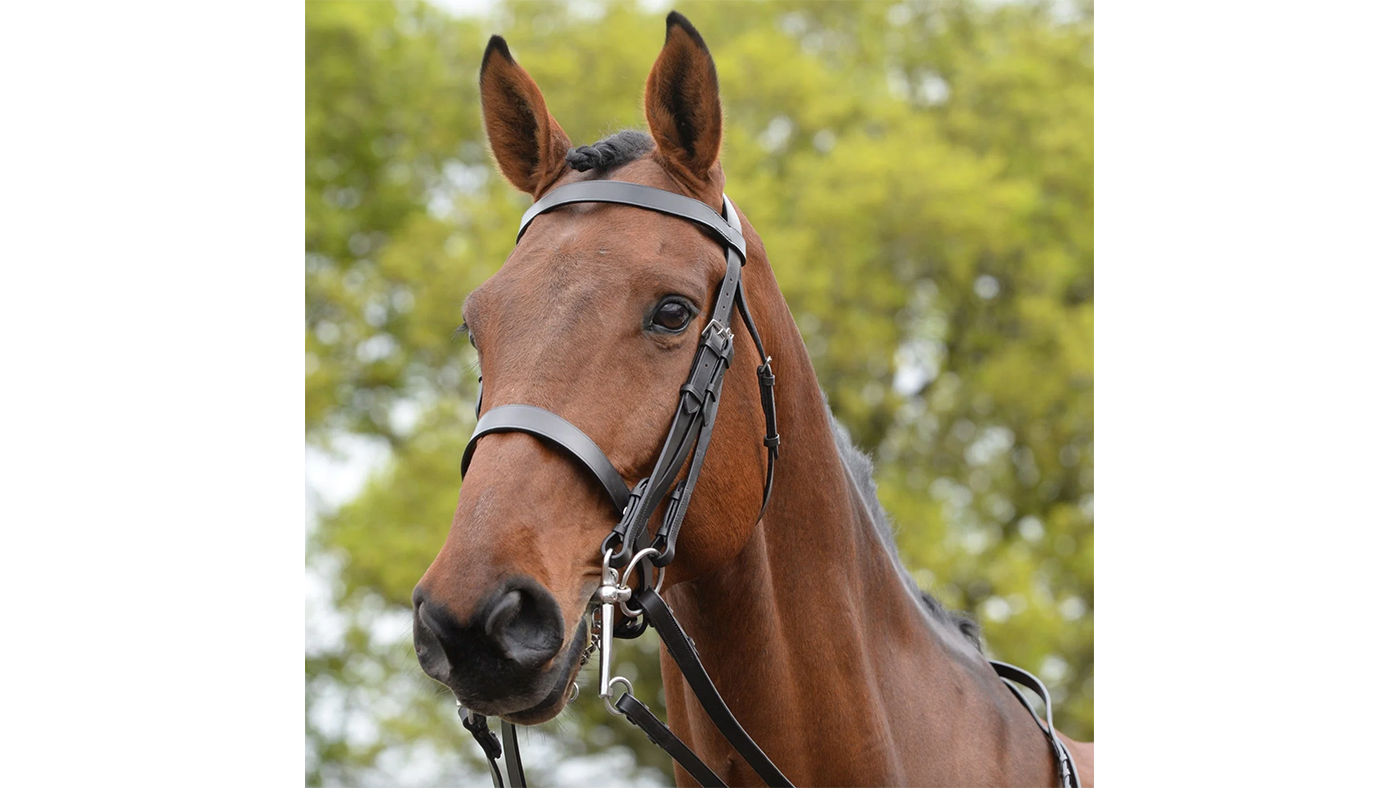 Kincade Show Weymouth Bridle&amp;nbsp;