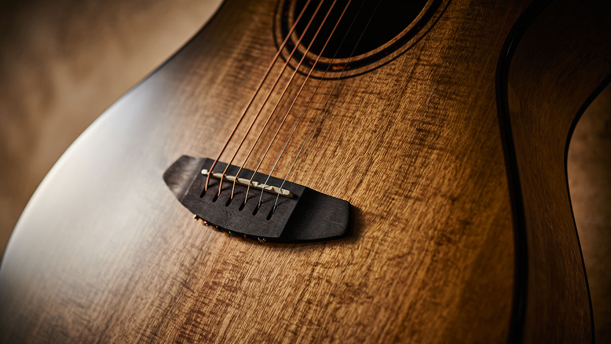 Breedlove Eco Pursuit EX S Concert Sweetgrass