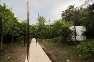 The Duho Pavilion by Limbo Accra, a slender installation in a cayman island forest