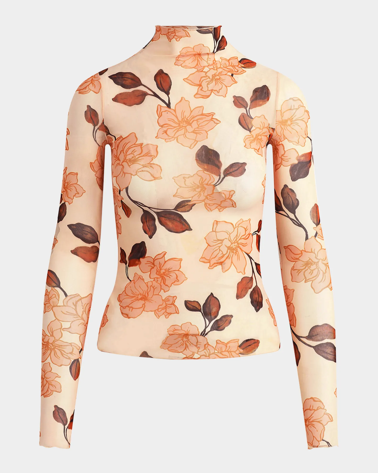 The Sheer Fantasy Turtleneck Top