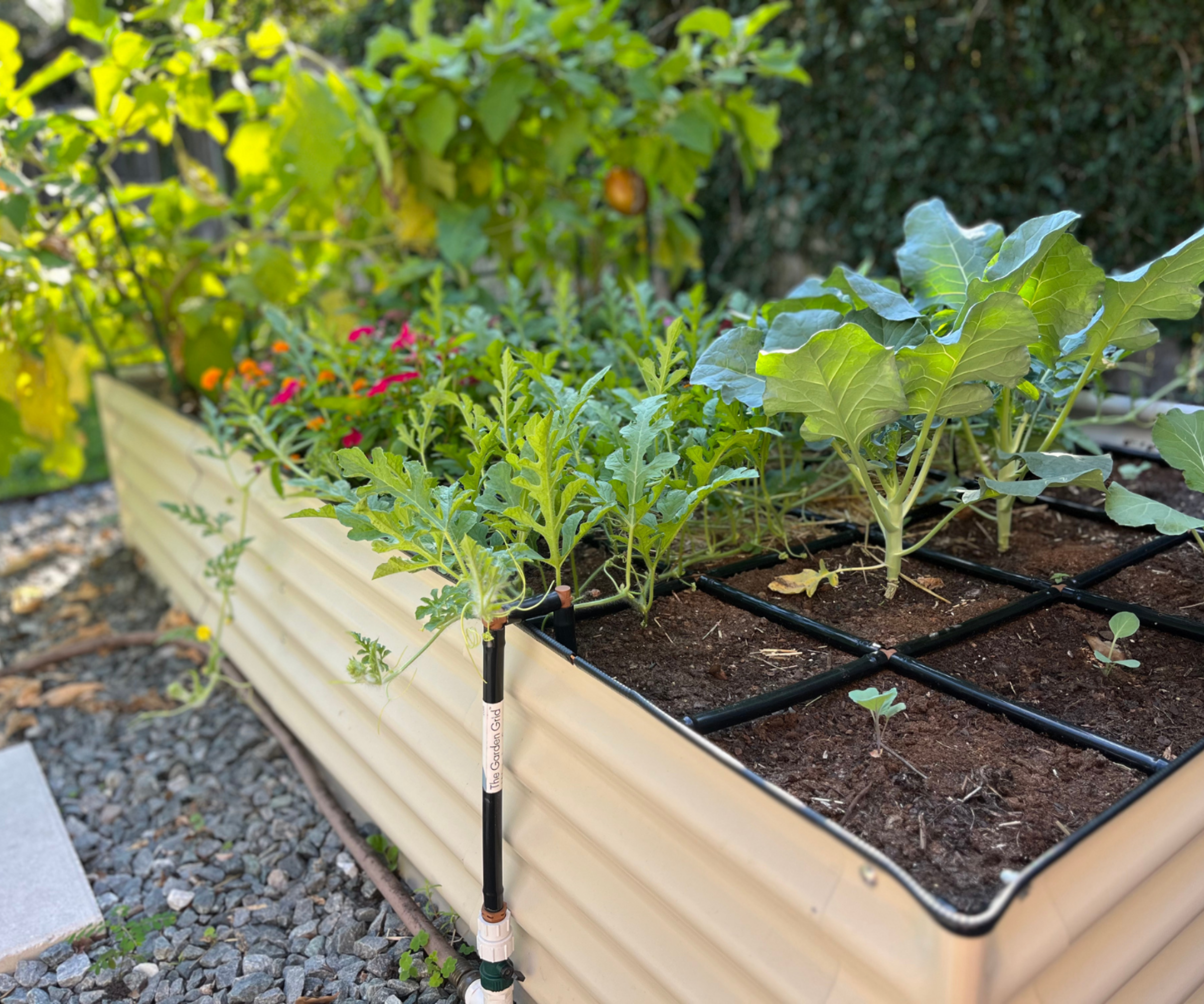 Garden In Minutes raised bed system