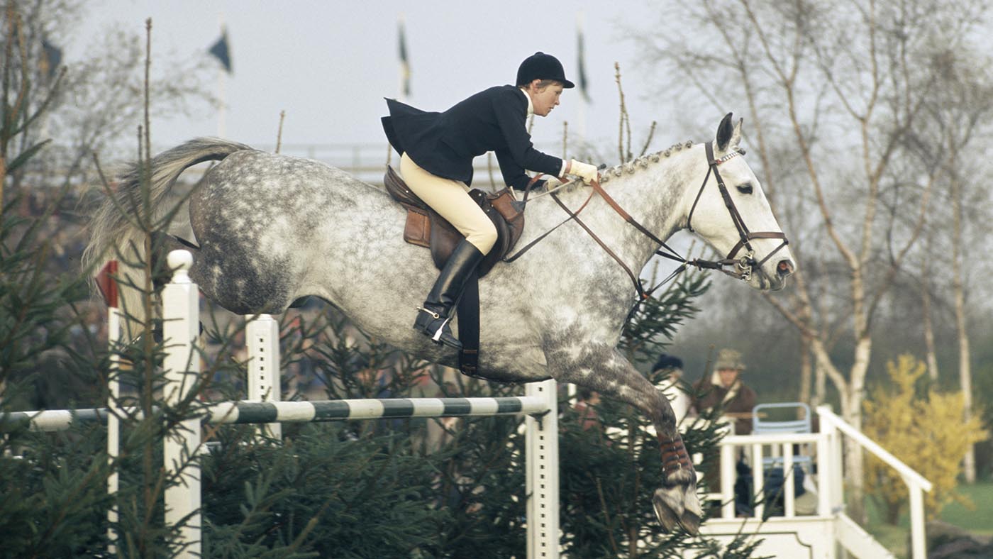 Pictured showjumper Judy Crago