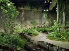 Gucci Cruise 2025 Show Set featuring plants against concrete show set at Tate Modern
