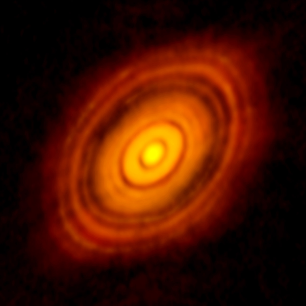 Young Star HL Tau 