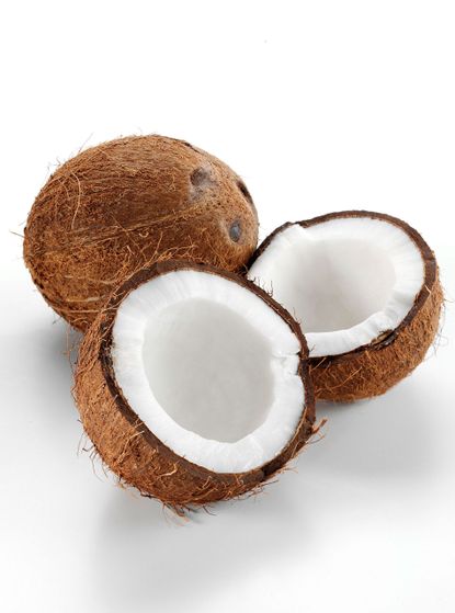 photo of coconuts
