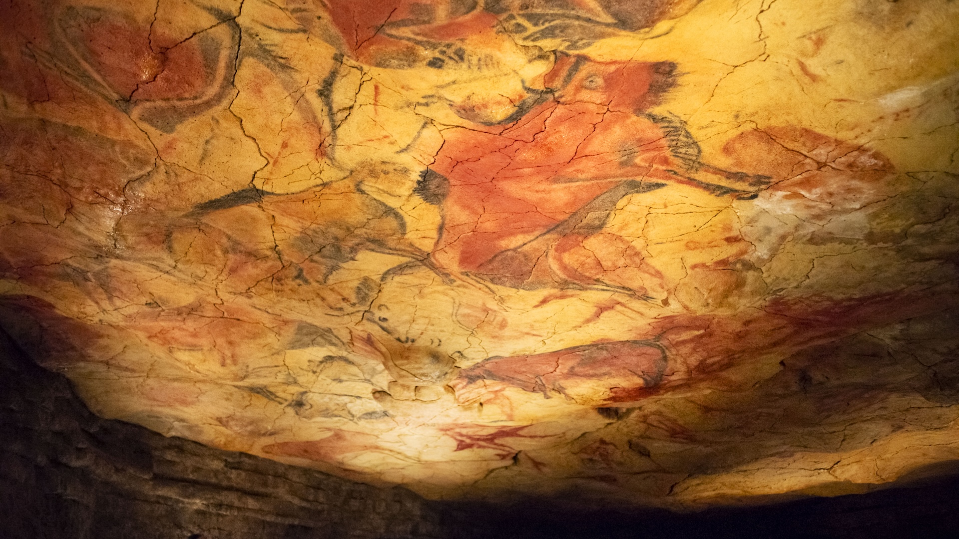 Uma foto de pinturas de bisonte, cavalos e veados no teto da Caverna Altamira