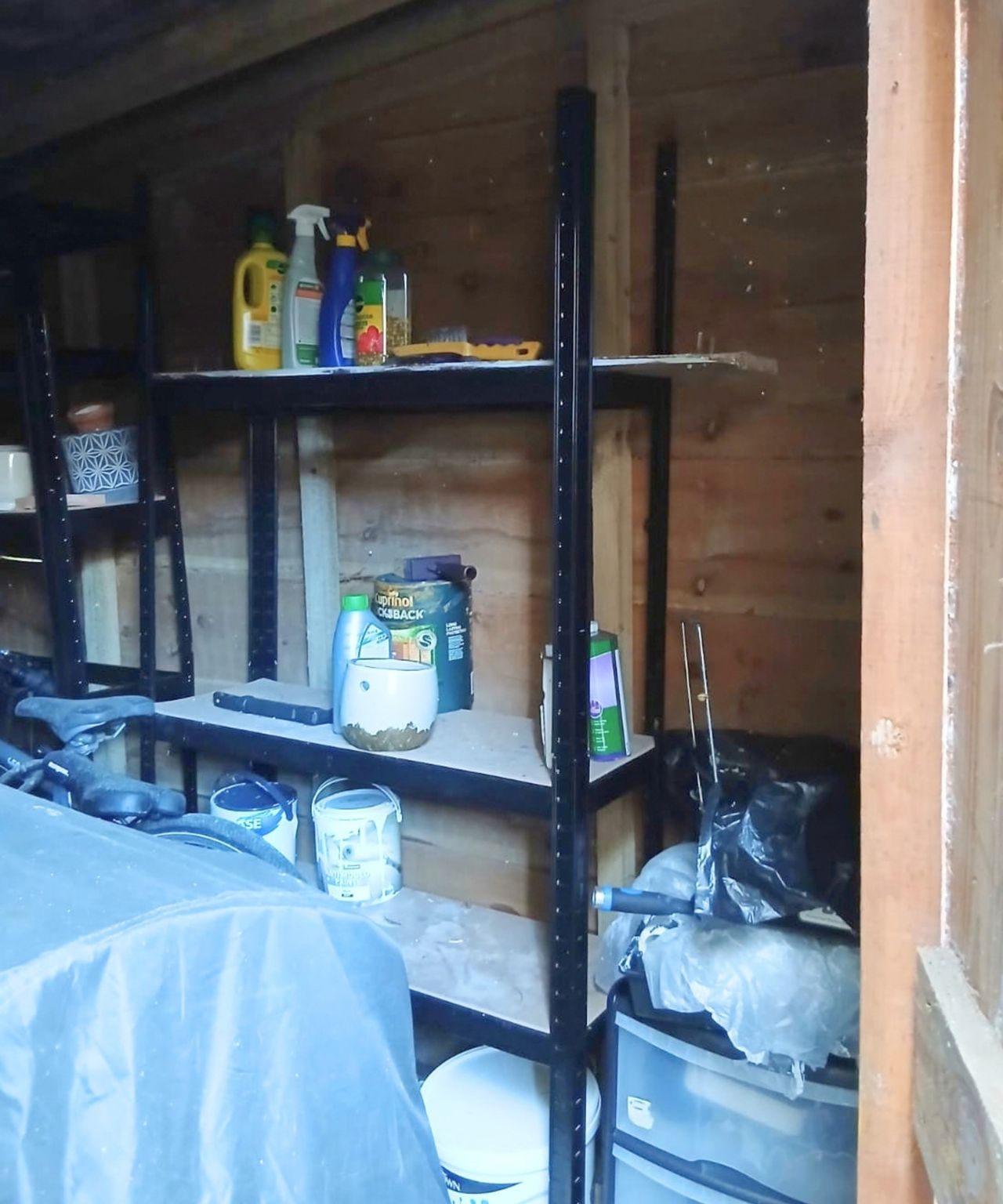 Inside a shed, shelving holds paint tins, cleaning bottles, and tools among stored clutter.