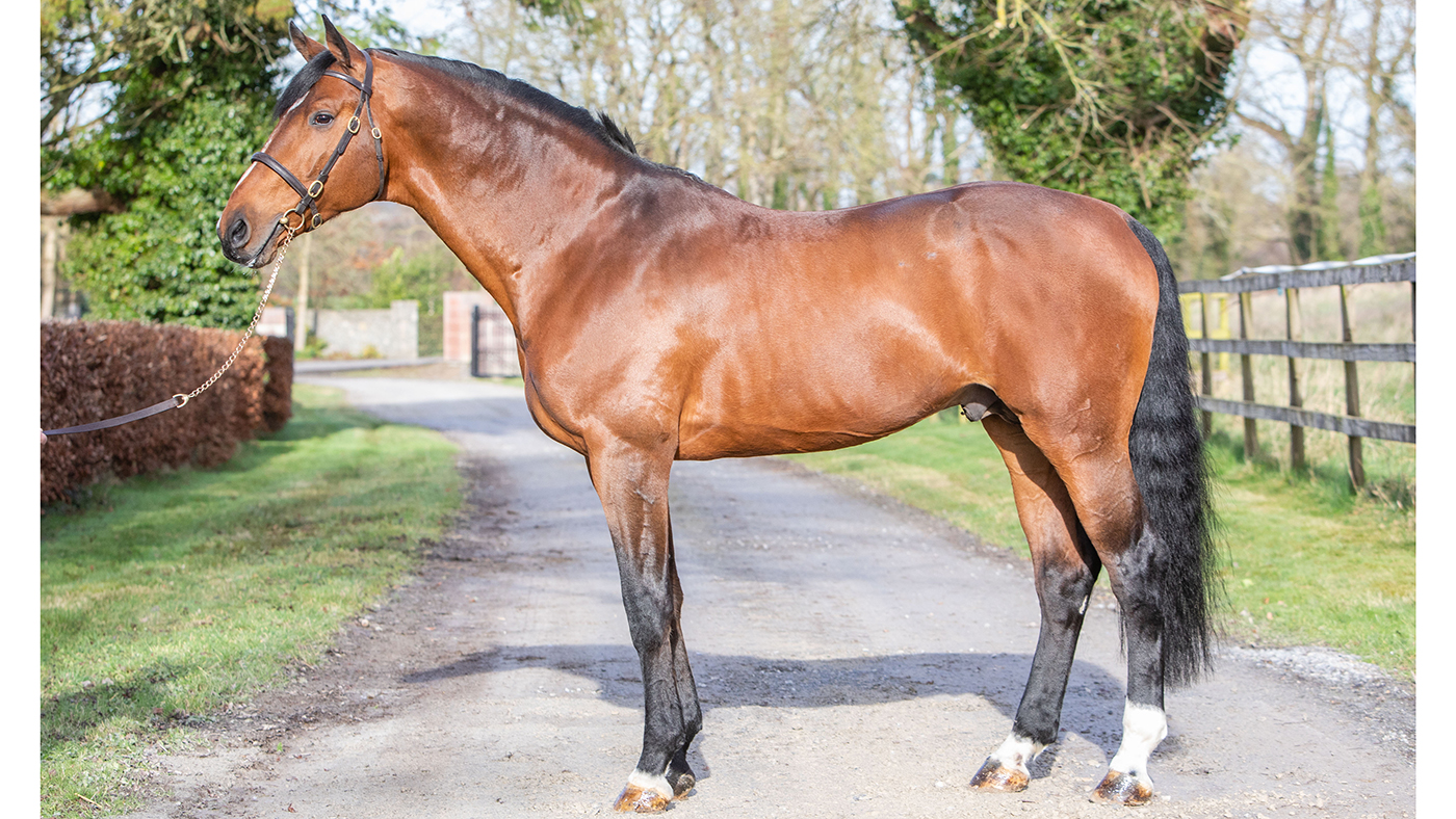 Coolballyshan Stud 05 02 2020