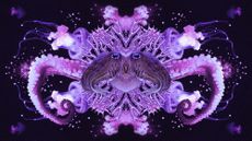 Photo collage of various deep sea creatures in a symmetrical, kaleidoscopic arrangement. 