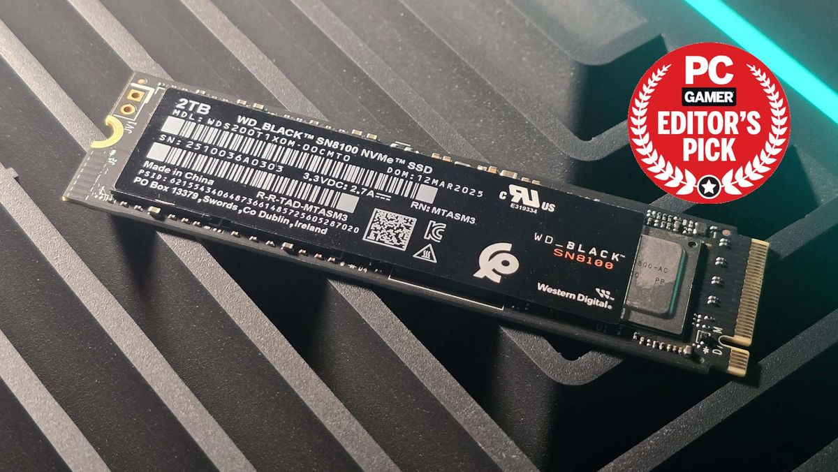 WD Black SN8100 2 TB NVMe SSD review | PC Gamer