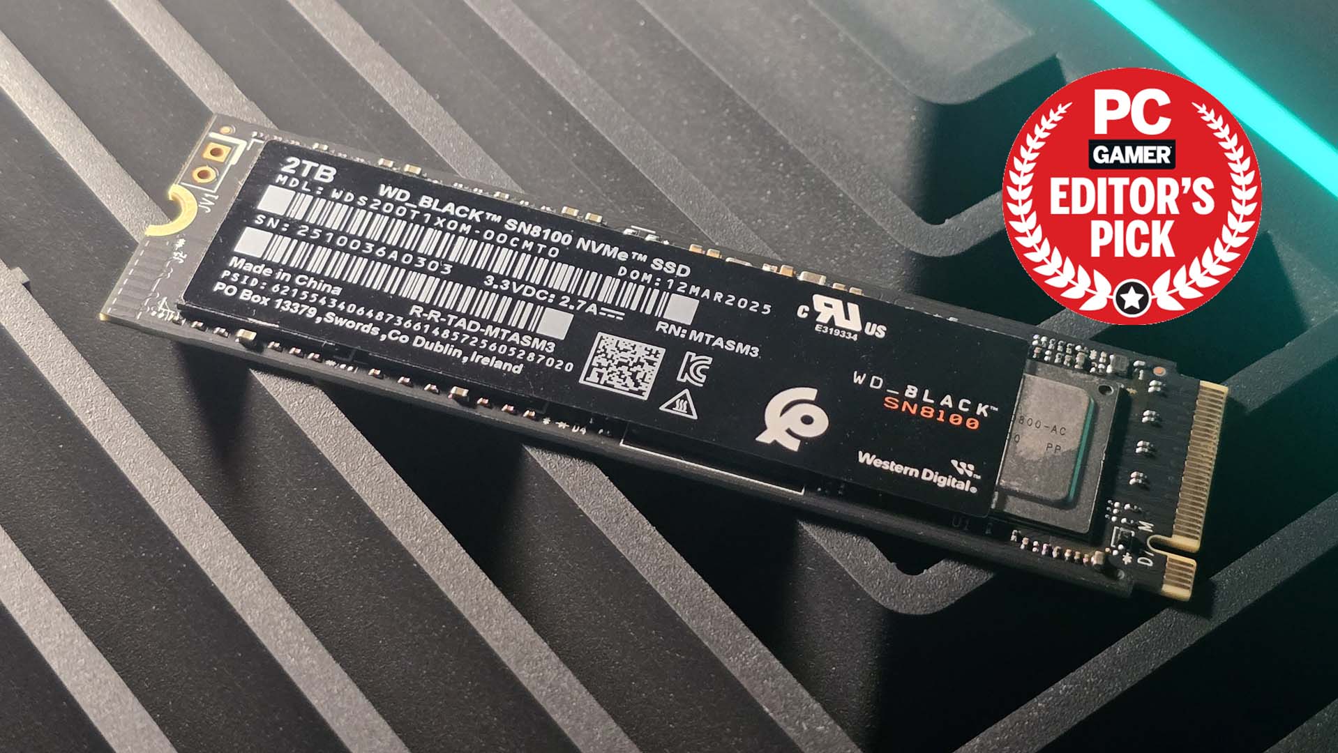 WD Black SN8100 SSD
