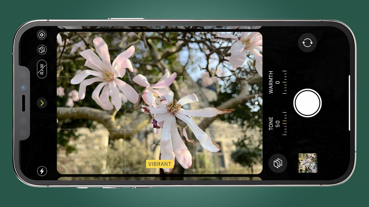 An iPhone showing the Photographic Styles settings menu around a photo