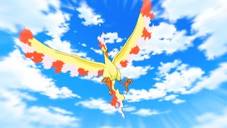 Moltres flies onto the screen in the Pokemon anime